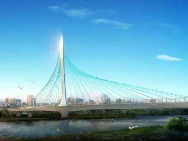 上海金汇港大桥项目